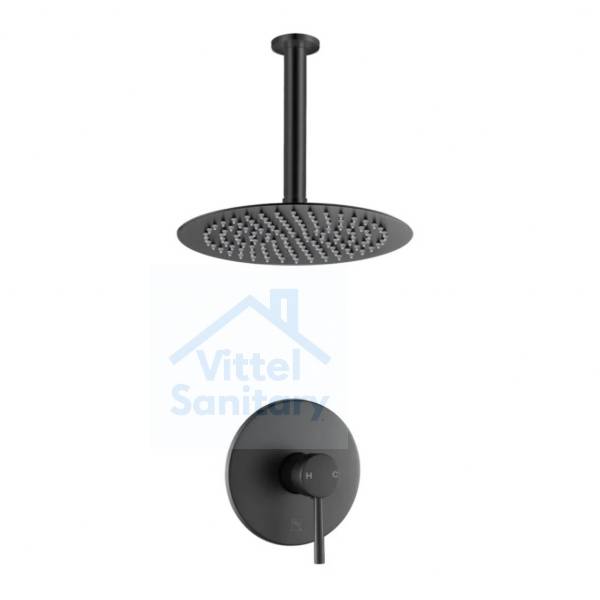 Shower Set C021430