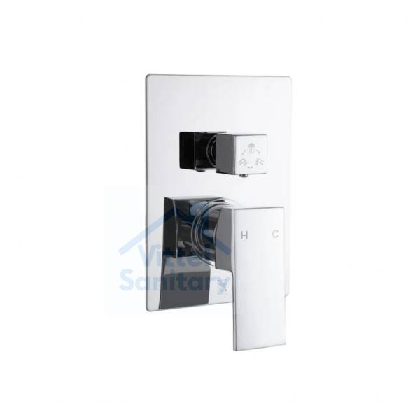 Concealed Shower Faucet C021447