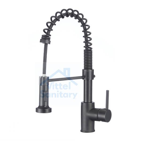Kitchen Faucet C021630